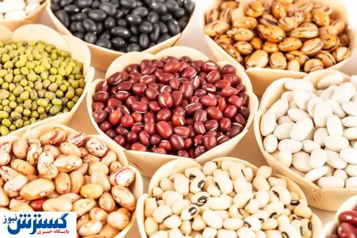 خبر رسمی درباره صادرات حبوبات اعلام شد + عکس