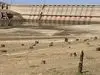 بحران فاجعه‌بار ؛ مرگ تدریجی آغاز شد