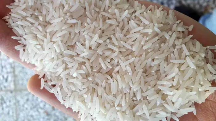 آخرین تغییرات قیمت برنج تولید داخل