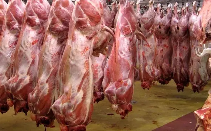 افزایش چشمگیر عرضه گوشت قرمز در کشتارگاه‌