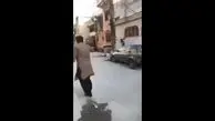 حمله سگ ولگرد به موتورسوار + فیلم