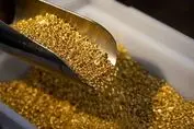 قیمت طلا عقب نشست ؛ دلار داغ شد !