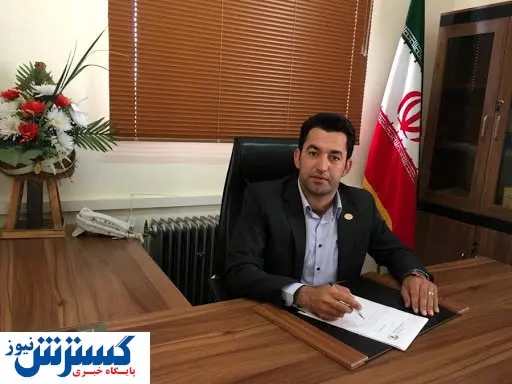 کاهش تولید و افزایش قیمت زیتون + آخرین جزییات
