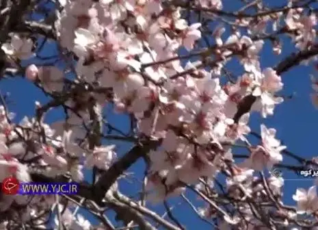 ۱۲ ماده غذایی برای داشتن پوستی درخشان در زمستان