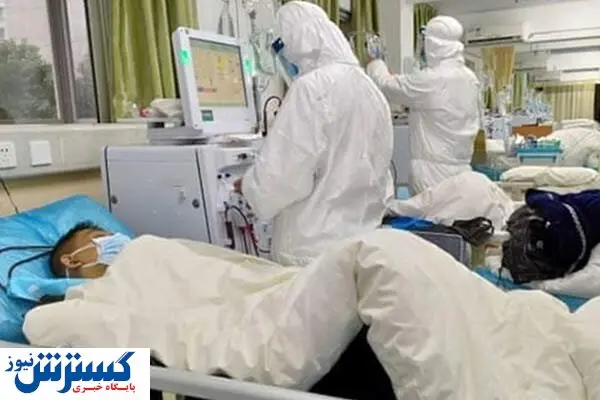 کرونا جان ۲۲۹ نفر دیگر را گرفت