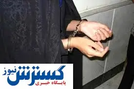زن کلاهبردار دستگیر شد