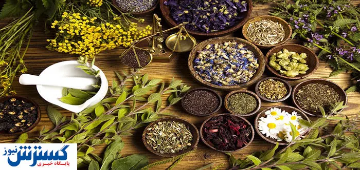 این ۱۰ گیاه دارویی را همیشه در خانه داشته باشید