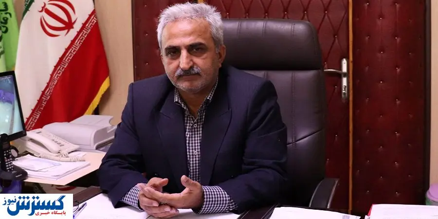 آخرین وضعیت بازار و قیمت چای ایرانی 