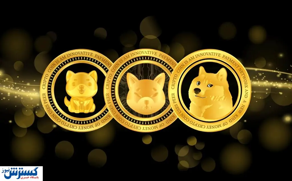 کدام میم کوین ها در رقابت از هم پیشی می گیرند ؟ شیبا و دوج کوین عقب می افتند !