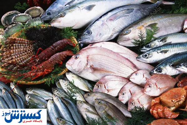 پای شیلات ایران به اتحادیه اروپا باز شد