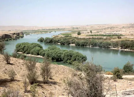 پیشنهاد تهاتر نفت ایران با برنج پاکستانی