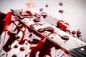 راز قتل زن آرایشگر شمالی فاش شد | معشوقه شوهرم بود