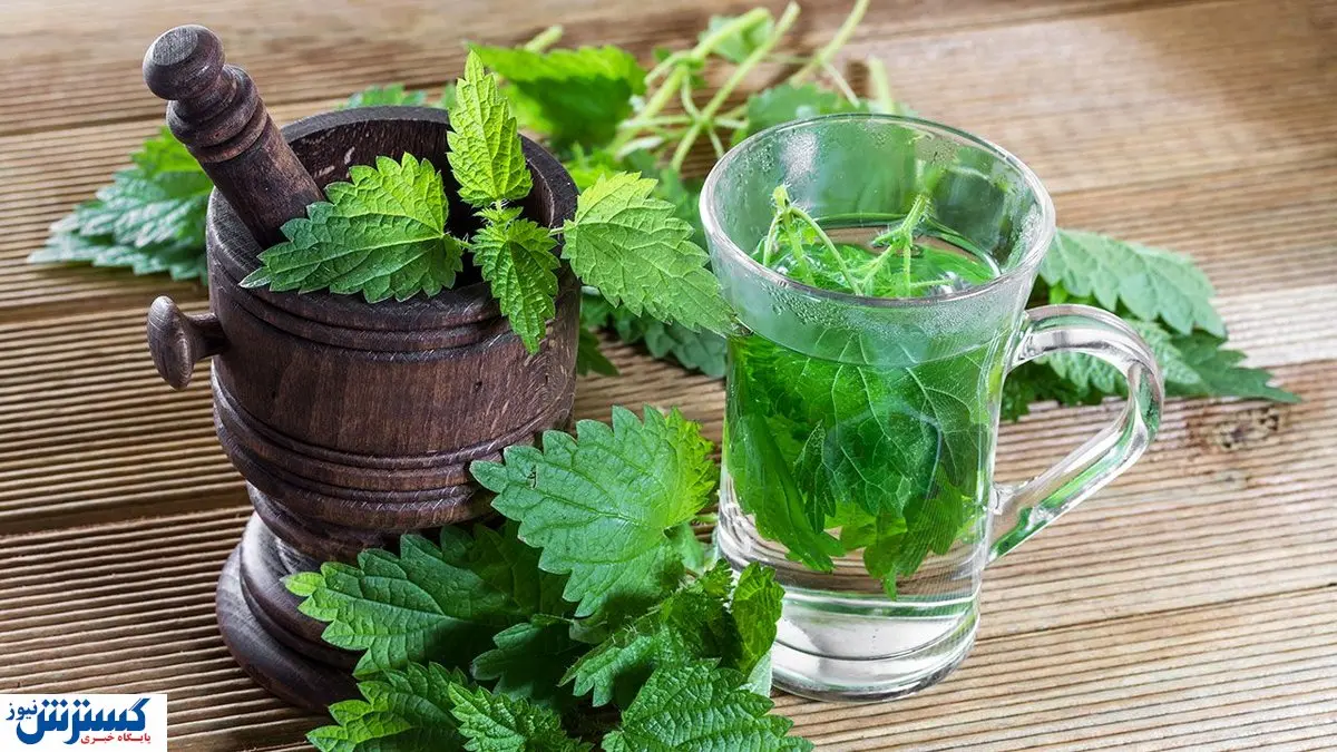 این بیماری ها را با مصرف نعنا درمان کنید