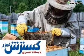 عسل، کام صادرات کشور را شیرین کرد