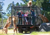جدیدترین آمار تلفات حیوانات در باغ وحش