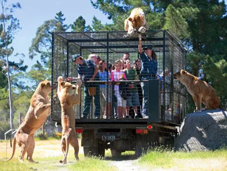 باغ وحش عجیبی که در آن انسان ها در قفس اند! + عکس