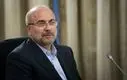 پرواز قیمت مرغ صدای مجلس را درآورد | الزام تغییر در اجرای طرح کالا برگ