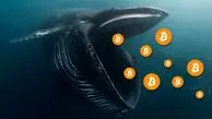 وضعیت بازار ارزهای دیجیتال پس از مرگ نهنگ‌ ها!
