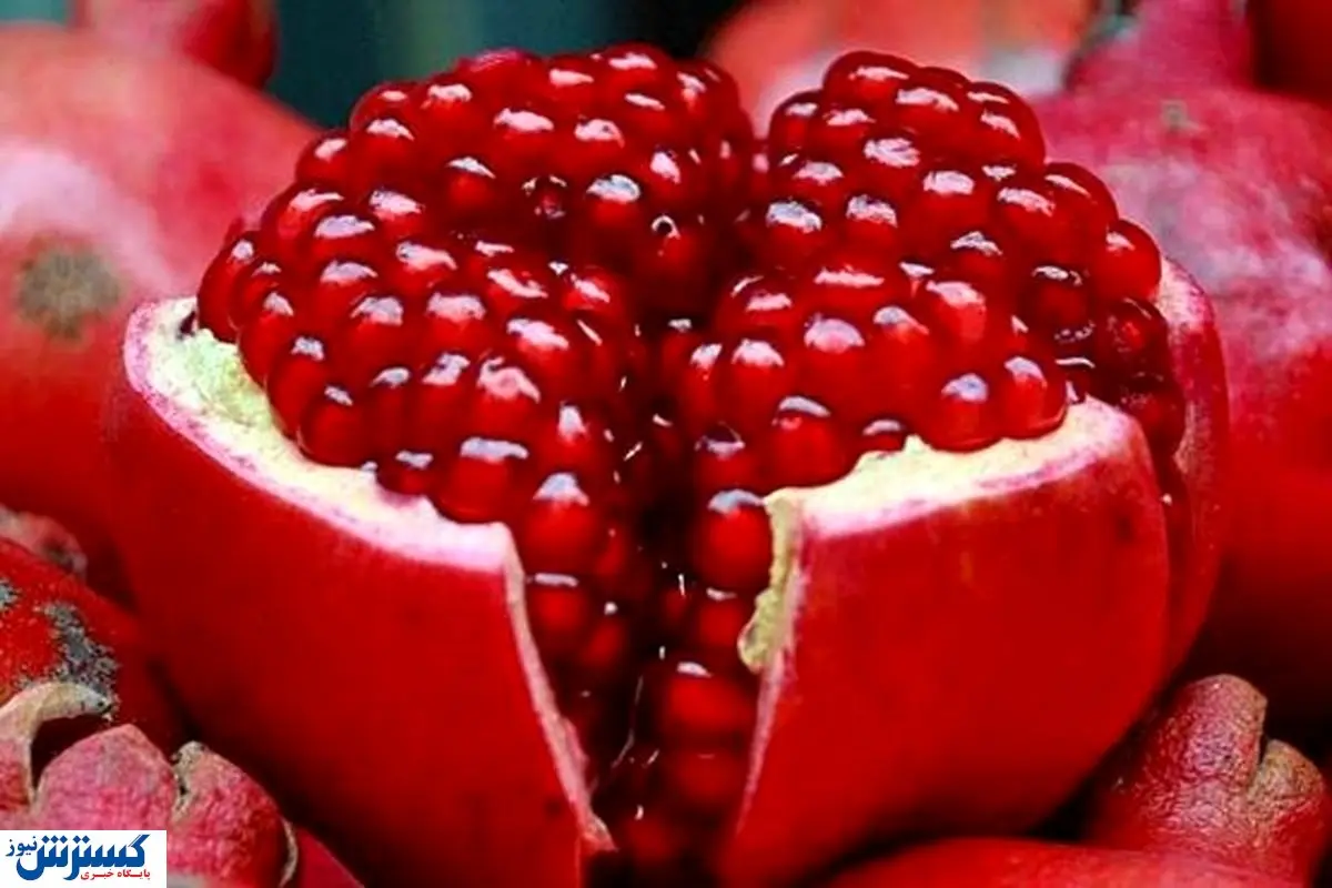 این میوه پاییزی کبد چرب را درمان می کند