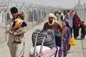اتباع افغان منابع ملی ایران را بلعیدند !
