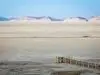 نجات دهنده ایران از بحران تازه ؛ معجزه از راه رسید ؟