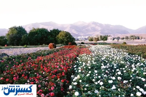 ارزشمند اما بیاعتبار