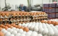 قیمت تخم‌ مرغ در بازار (۹۹/۰۴/۱۹) + جدول