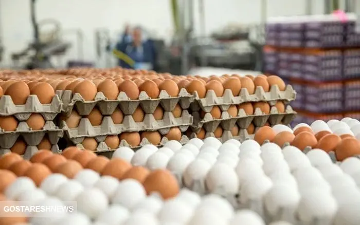 قیمت تخم مرغ در بازار امروز (۹۹/۰۵/۲۱) + جدول
