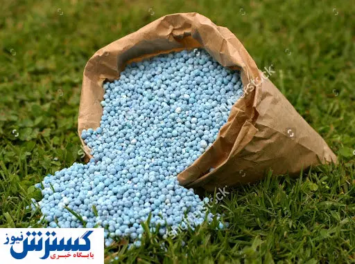 قیمت کود شیمیایی به شدت افزایش می یابد