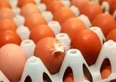 تخم مرغ های تاریخ گذشته در سفره مردم!