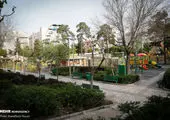 تصاویر/ هجدهمین نمایشگاه بین‌المللی گل و گیاه تهران 