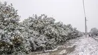 موج جدید بارش برف در راه این استان ها