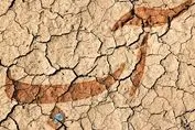 کشور در آستانه فاجعه‌ای بزرگ | منتظر بزرگترین تهدید ملی باشید