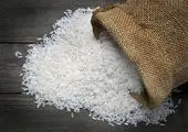 شالیکاران گیلانی چشم انتظار حمایت مسئولان / برنج خارجی نباید جایگزین برنج ایرانی شود