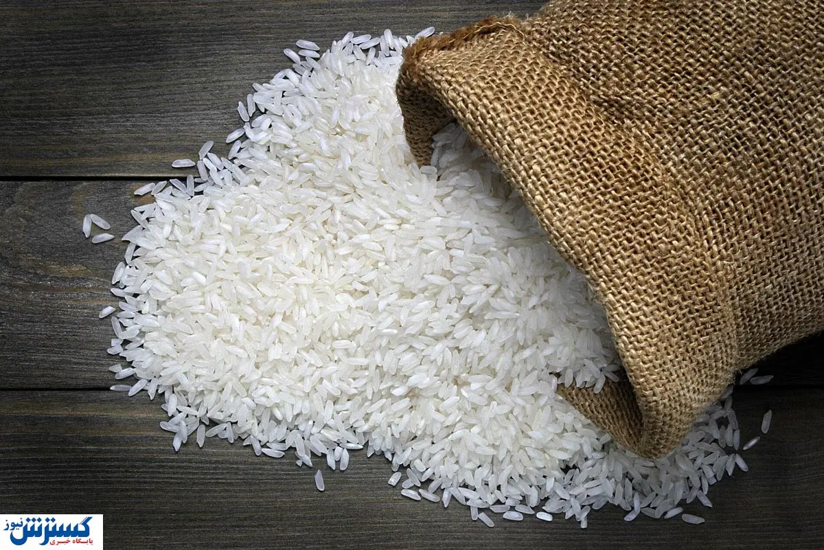 قیمت برنج با این تصمیم جهش خواهد کرد