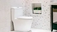 توالت فرنگی هم نجومی شد! / قیمتی که دود از سرتان بلند می کند