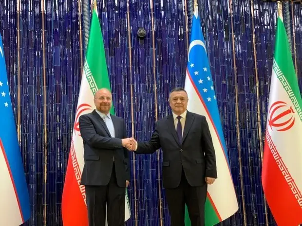 دیدار قالیباف با رئیس مجلس سنای ازبکستان / مبادلات تجاری باید افزایش یابد