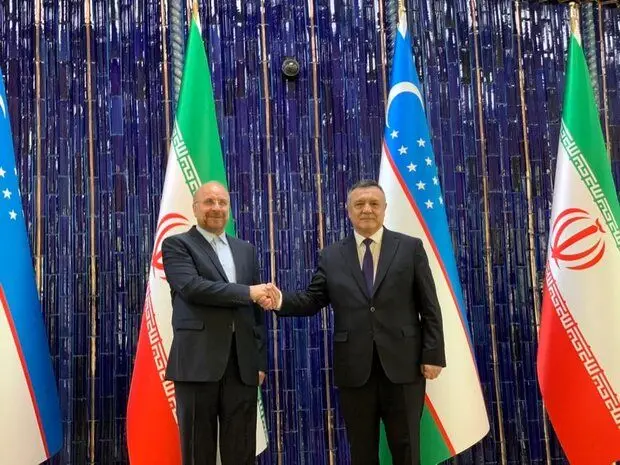 دیدار قالیباف با رئیس مجلس سنای ازبکستان / مبادلات تجاری باید افزایش یابد