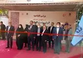 میدان‌داری قالی‌های استان هنرپرور اصفهان در بیست و پنجمین نمایشگاه فرش دستباف