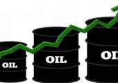 وزیر نفت:  ۱۵ طرح نفتی جدید نیز در دست اقدام است