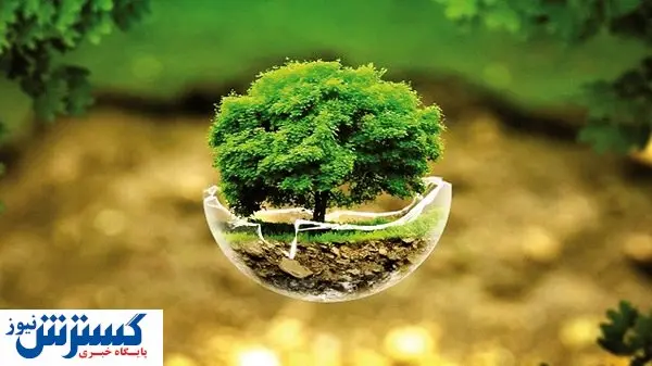نقش اکوسیستم منابع انسانی در ارتقای امید