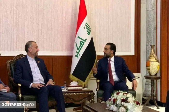 دیدار رئیس مجلس عراق با امیرعبداللهیان