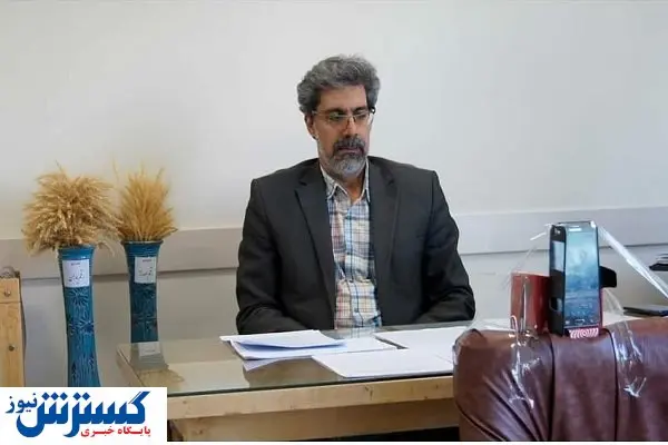 کشت کلزا در همدان قوت میگیرد