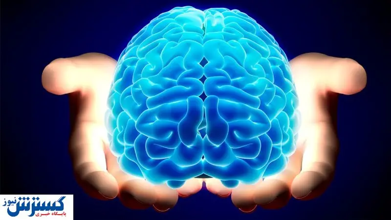 دور زدن آلزایمر با خوراک ویژه مغز!