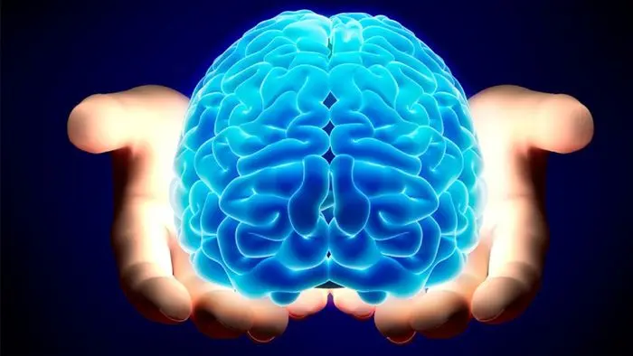 حقایقی جالب درباره قدرت مغز انسان