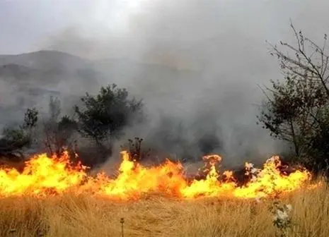 شهادت یک پاسدار در خاموش ‌سازی جنگل‌ های کرمانشاه