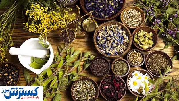 لزوم افزایش درآمد ارزی از گیاهان دارویی 