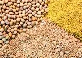 برنامه وزارت جهاد کشاورزی برای تامین خوراک دام از ضایعات نیشکر