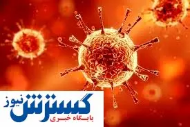 آنتی بادی کرونا چند ماه در بدن میماند؟