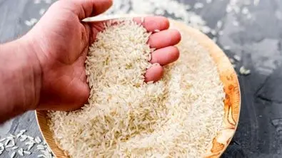 شاخ غول برنج شکست !